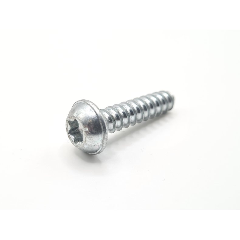 Rotax DD2 Taptite Screw for Gear Shift 