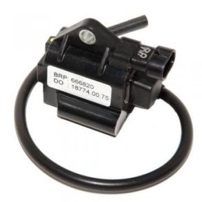 Tndspole med tndrrshtte, Rotax Max Evo  