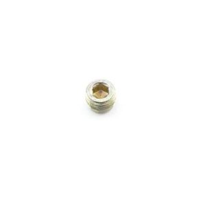 Rotax Cylinder Water Plug Cap