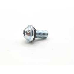 Rounded Wheel Air Screw with O-Ring 