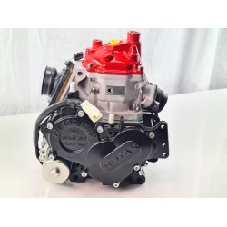 Rotax Junior 2024, R Motor