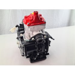 Rotax Junior 2024, R Motor