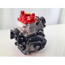 Rotax Junior 2024, R Motor