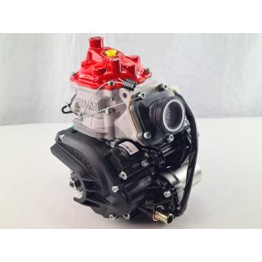 Rotax Junior 2024, R Motor