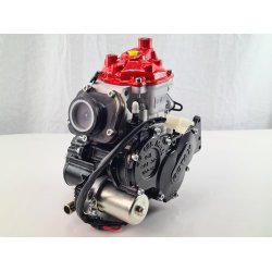 Rotax Junior 2024, R Motor