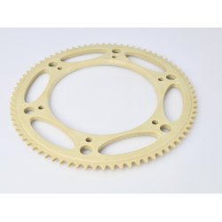 Extron Pro, 219 Kevlar Rear Sprocket, Righetti 